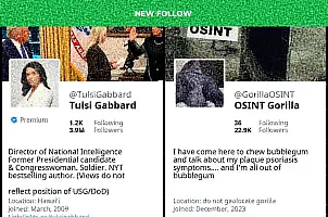 osintdefender