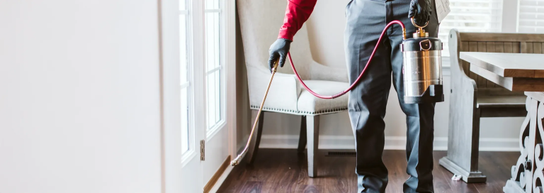 Reliable Pest Control Brentwood Services for Fast & Effective Solutions