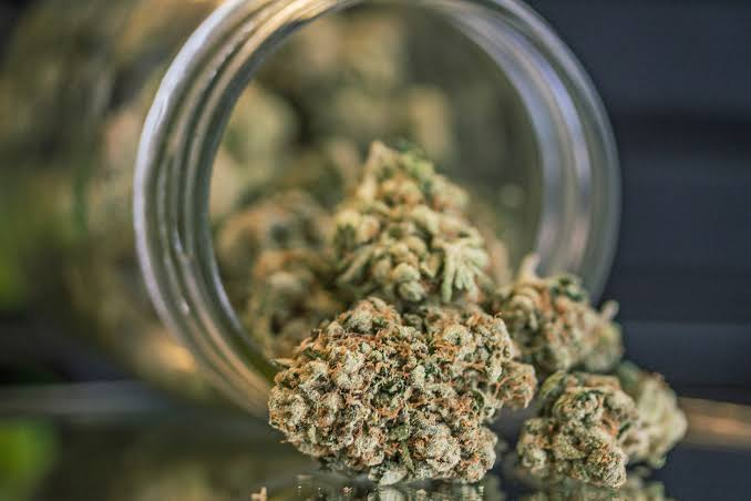 How to Confirm a Cannabis Shop Meets Legal Standards